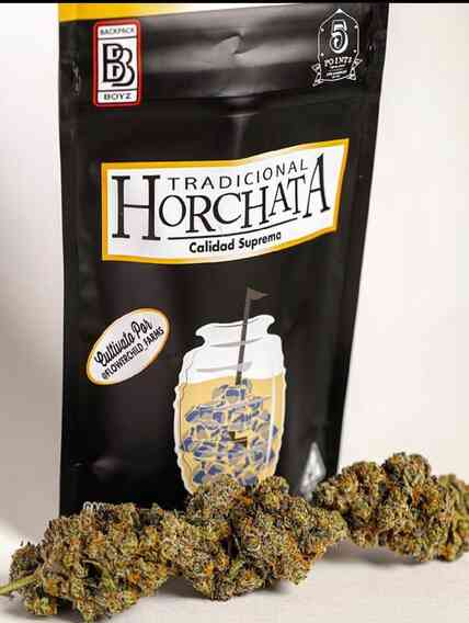 Horchata Strain | Backpackboyz
