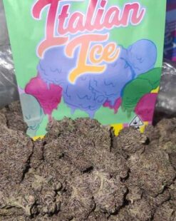 Italian Ice Strain | Backpackboyz