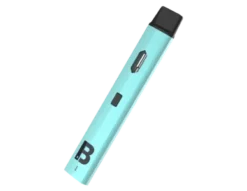 Blinkers Disposable Vape 2 Gram